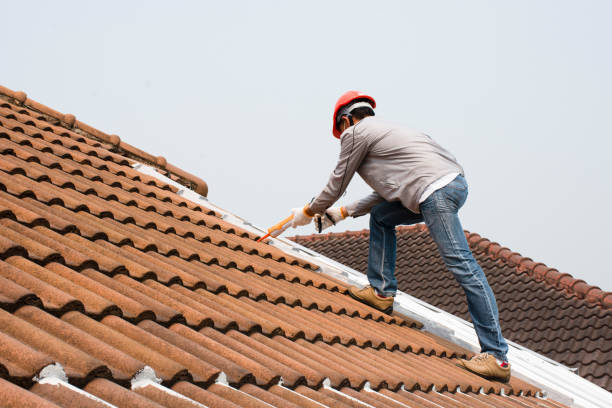 Best Roof Maintenance and Cleaning  in Steele, MO