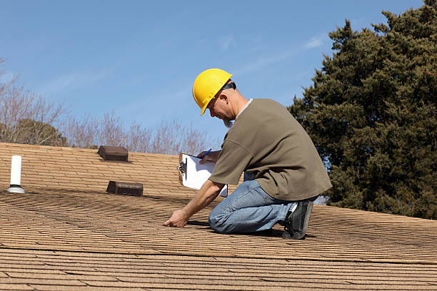Best Sheet Metal Roofing  in Steele, MO