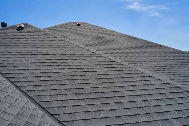 Best Roof Insulation Installation  in Steele, MO