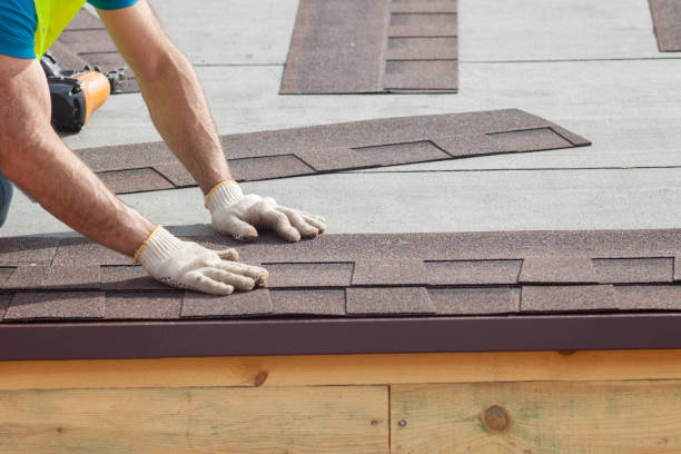 Best Metal Roofing Installation  in Steele, MO